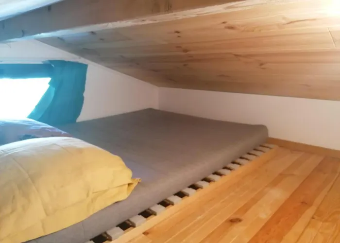La Cabane Au Fond Du Jardin